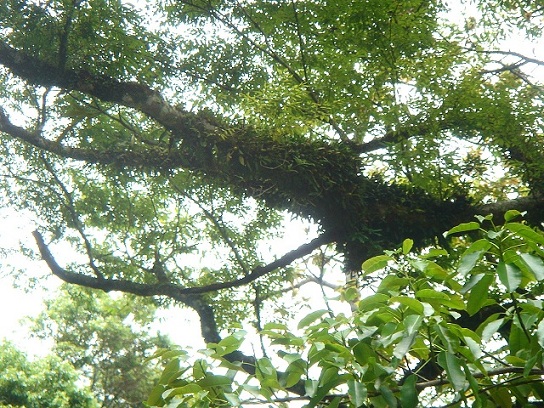 «ö¦¹¦b·sµøµ¡ÂsÄý¹Ï¤ù