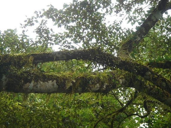 «ö¦¹¦b·sµøµ¡ÂsÄý¹Ï¤ù