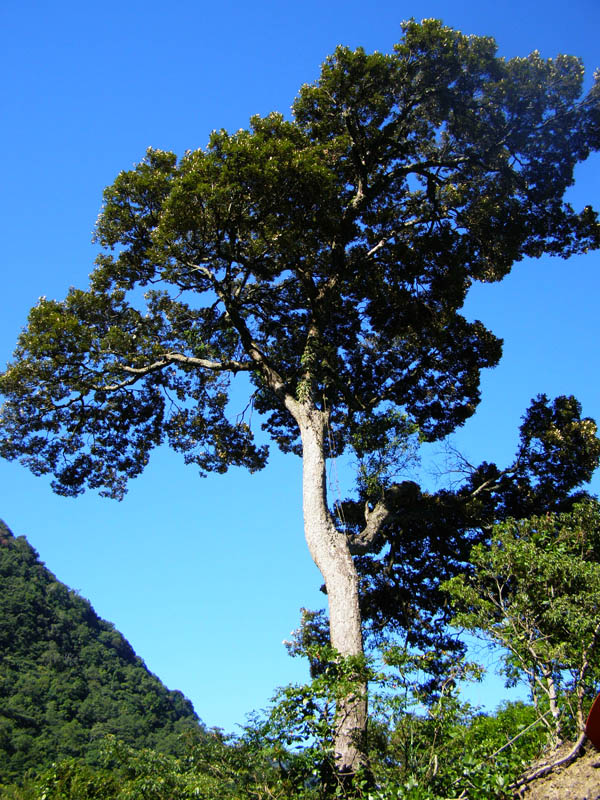 «ö¦¹¦b·sµøµ¡ÂsÄý¹Ï¤ù