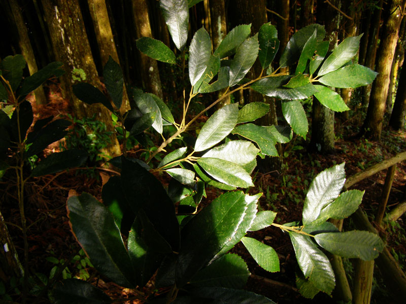 «ö¦¹¦b·sµøµ¡ÂsÄý¹Ï¤ù