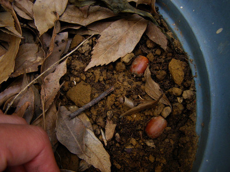 «ö¦¹¦b·sµøµ¡ÂsÄý¹Ï¤ù