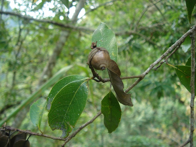 «ö¦¹¦b·sµøµ¡ÂsÄý¹Ï¤ù