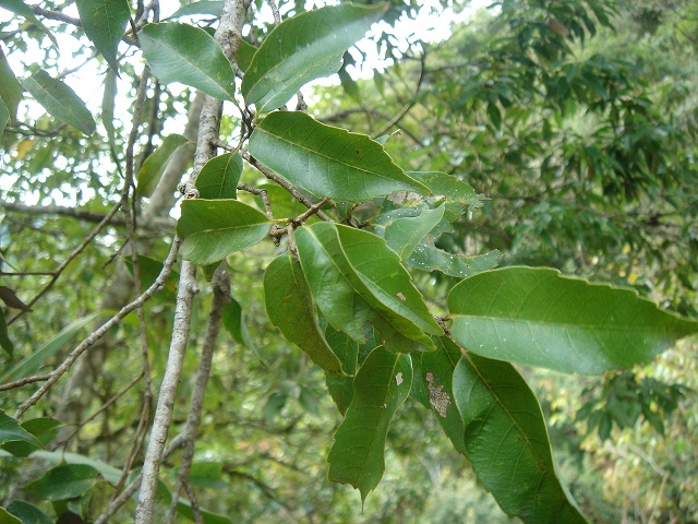 «ö¦¹¦b·sµøµ¡ÂsÄý¹Ï¤ù