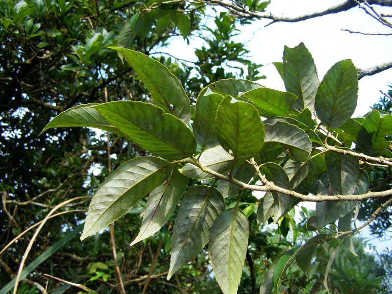 «ö¦¹¦b·sµøµ¡ÂsÄý¹Ï¤ù