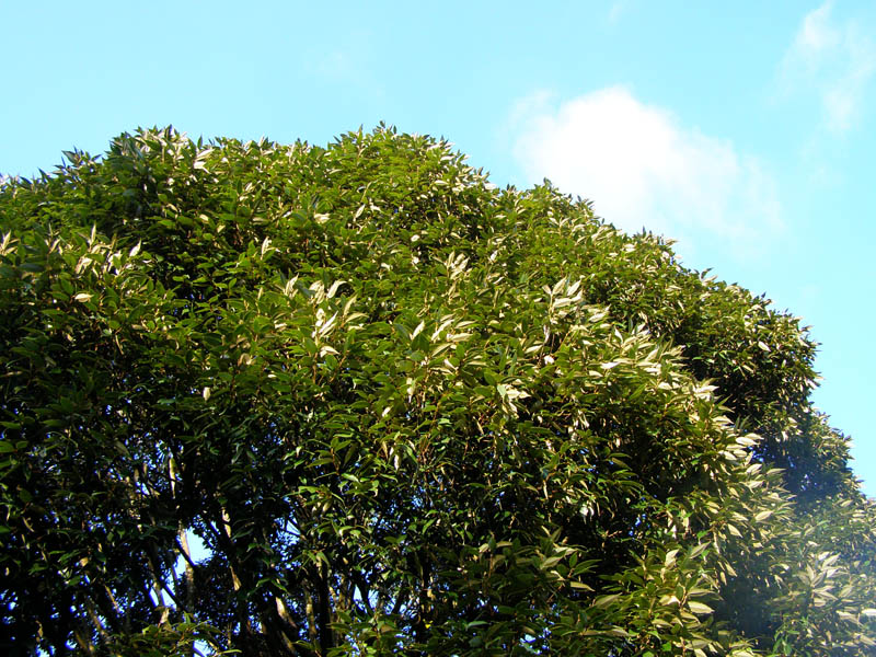 «ö¦¹¦b·sµøµ¡ÂsÄý¹Ï¤ù