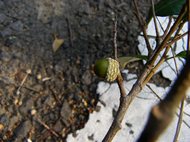 «ö¦¹¦b·sµøµ¡ÂsÄý¹Ï¤ù