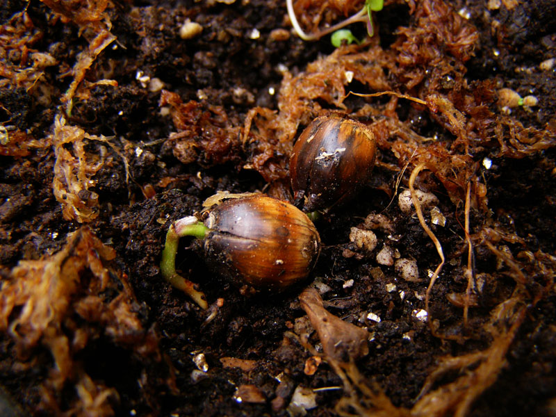 «ö¦¹¦b·sµøµ¡ÂsÄý¹Ï¤ù