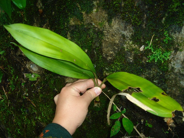 «ö¦¹¦b·sµøµ¡ÂsÄý¹Ï¤ù