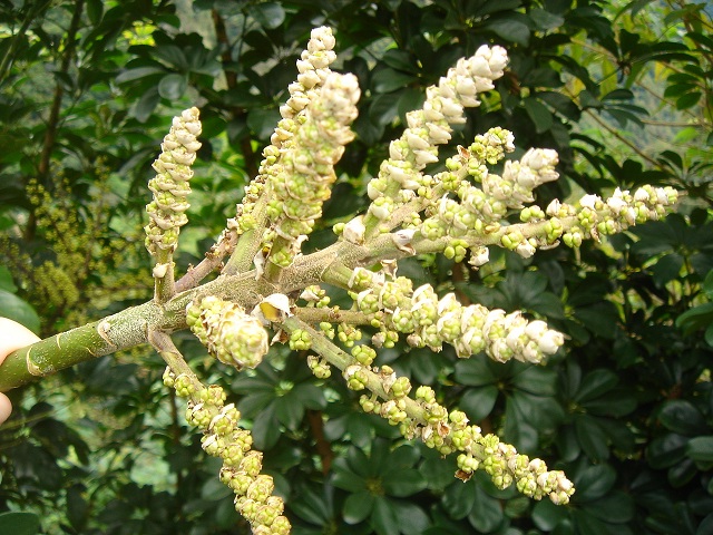 «ö¦¹¦b·sµøµ¡ÂsÄý¹Ï¤ù