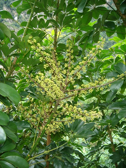 «ö¦¹¦b·sµøµ¡ÂsÄý¹Ï¤ù