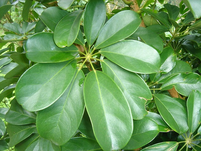 «ö¦¹¦b·sµøµ¡ÂsÄý¹Ï¤ù