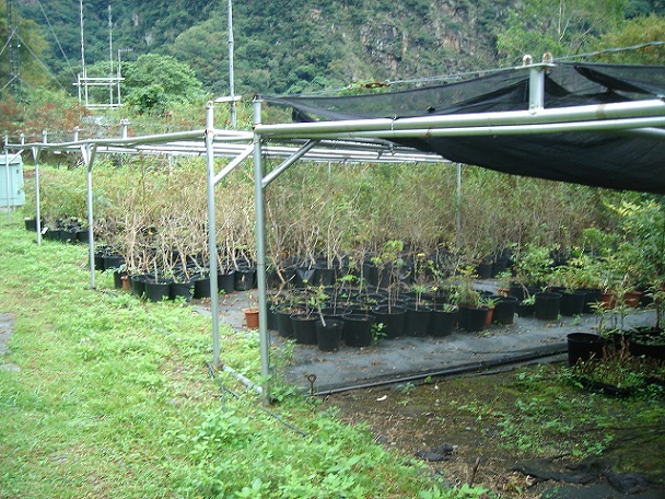 «ö¦¹¦b·sµøµ¡ÂsÄý¹Ï¤ù