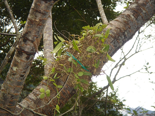 «ö¦¹¦b·sµøµ¡ÂsÄý¹Ï¤ù