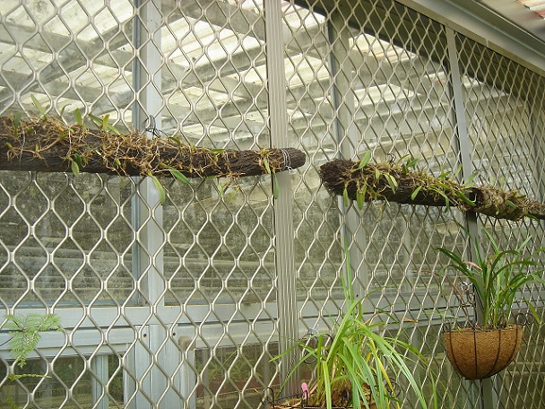 «ö¦¹¦b·sµøµ¡ÂsÄý¹Ï¤ù