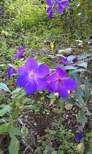 «ö¦¹¦b·sµøµ¡ÂsÄý¹Ï¤ù