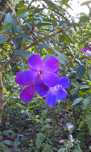 «ö¦¹¦b·sµøµ¡ÂsÄý¹Ï¤ù