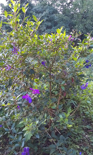 «ö¦¹¦b·sµøµ¡ÂsÄý¹Ï¤ù