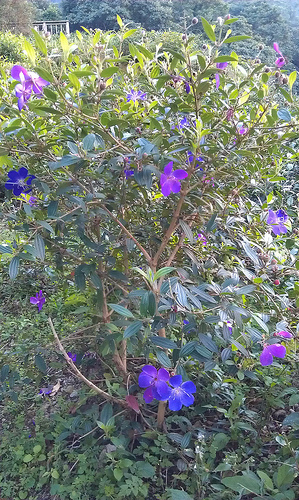 «ö¦¹¦b·sµøµ¡ÂsÄý¹Ï¤ù