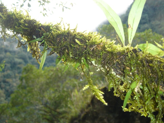 «ö¦¹¦b·sµøµ¡ÂsÄý¹Ï¤ù