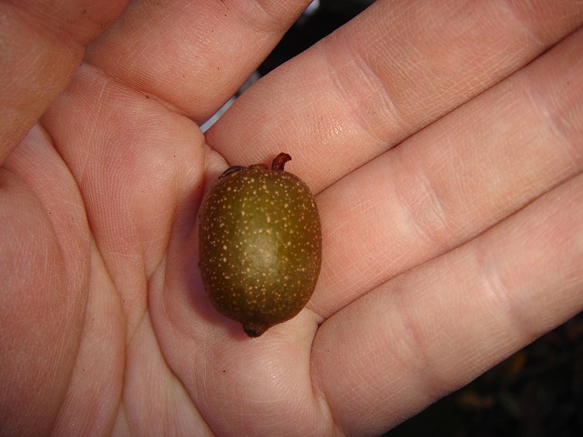 «ö¦¹¦b·sµøµ¡ÂsÄý¹Ï¤ù