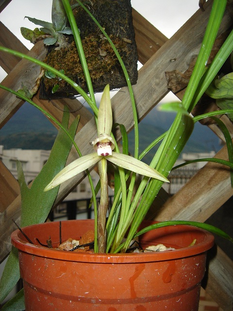 «ö¦¹¦b·sµøµ¡ÂsÄý¹Ï¤ù