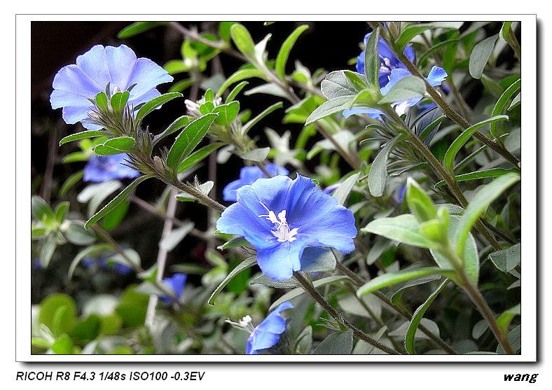 «ö¦¹¦b·sµøµ¡ÂsÄý¹Ï¤ù