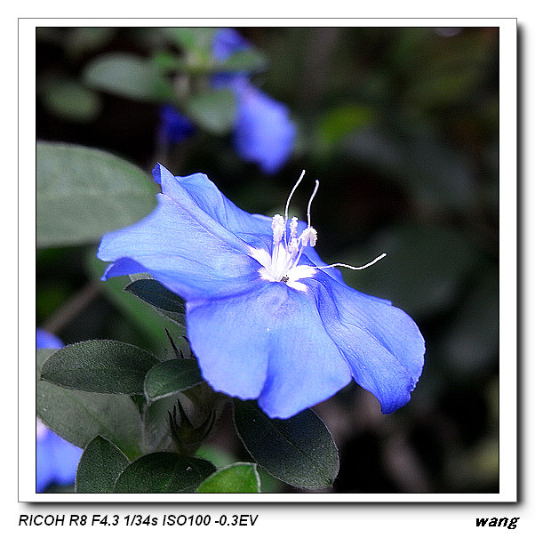 «ö¦¹¦b·sµøµ¡ÂsÄý¹Ï¤ù