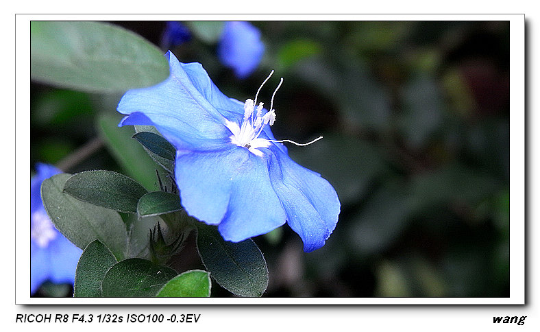 «ö¦¹¦b·sµøµ¡ÂsÄý¹Ï¤ù