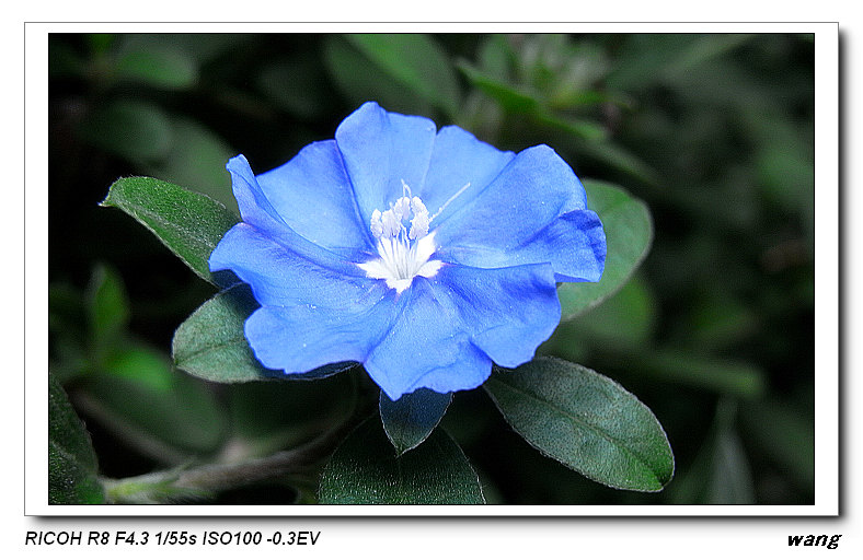 «ö¦¹¦b·sµøµ¡ÂsÄý¹Ï¤ù