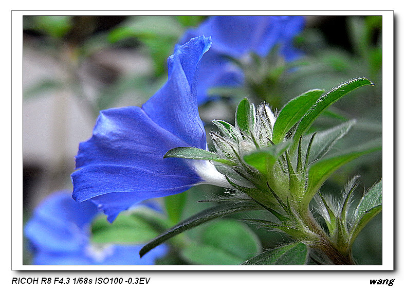 «ö¦¹¦b·sµøµ¡ÂsÄý¹Ï¤ù