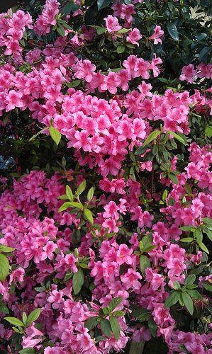 «ö¦¹¦b·sµøµ¡ÂsÄý¹Ï¤ù