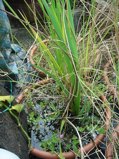 «ö¦¹¦b·sµøµ¡ÂsÄý¹Ï¤ù