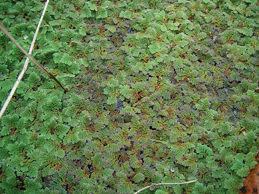 «ö¦¹¦b·sµøµ¡ÂsÄý¹Ï¤ù