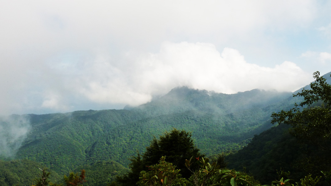 按此在新視窗瀏覽圖片