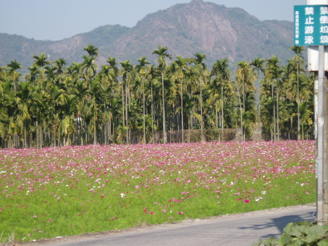 «ö¦¹¦b·sµøµ¡ÂsÄý¹Ï¤ù