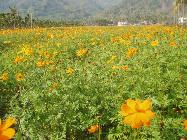 «ö¦¹¦b·sµøµ¡ÂsÄý¹Ï¤ù