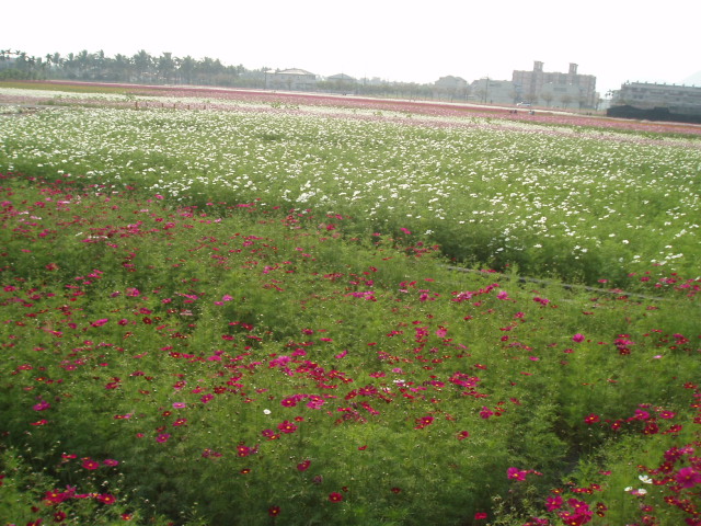 «ö¦¹¦b·sµøµ¡ÂsÄý¹Ï¤ù