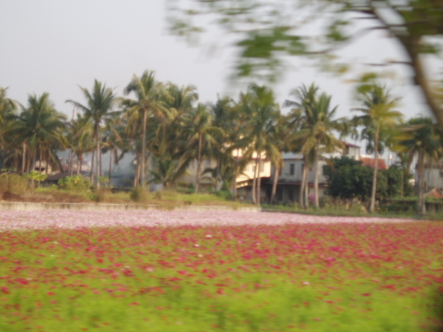 «ö¦¹¦b·sµøµ¡ÂsÄý¹Ï¤ù