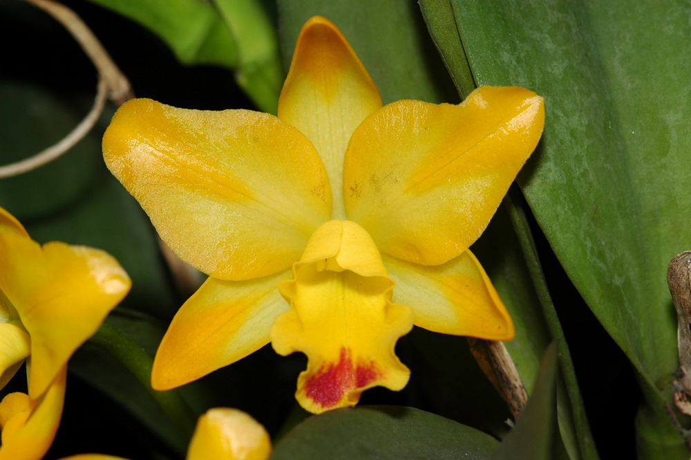 «ö¦¹¦b·sµøµ¡ÂsÄý¹Ï¤ù