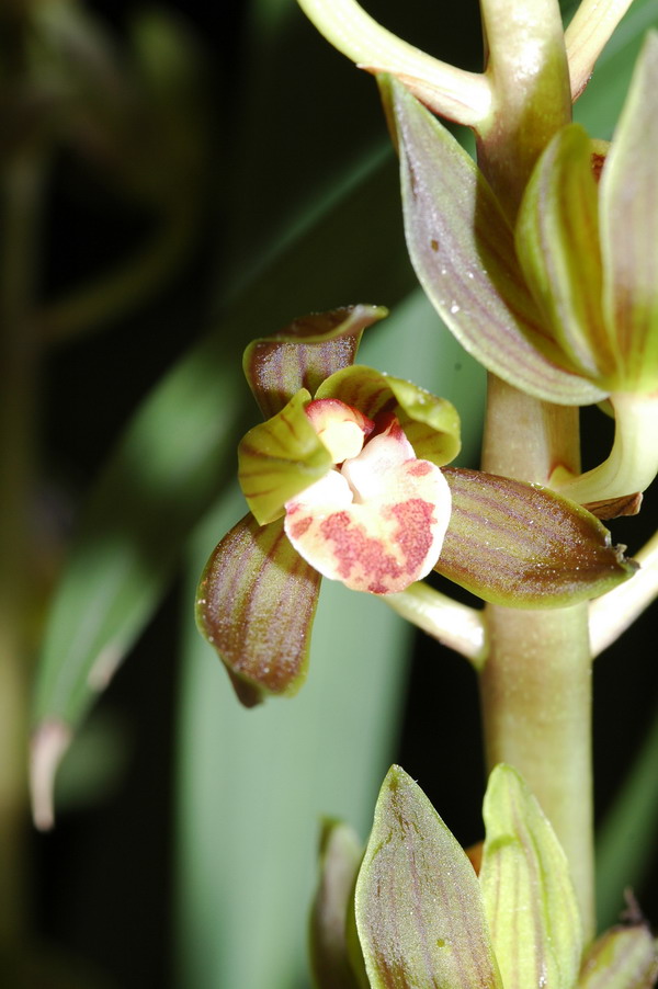 «ö¦¹¦b·sµøµ¡ÂsÄý¹Ï¤ù