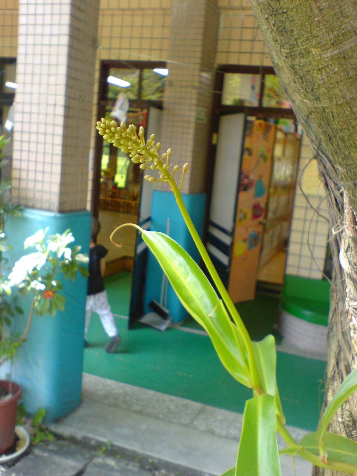 «ö¦¹¦b·sµøµ¡ÂsÄý¹Ï¤ù