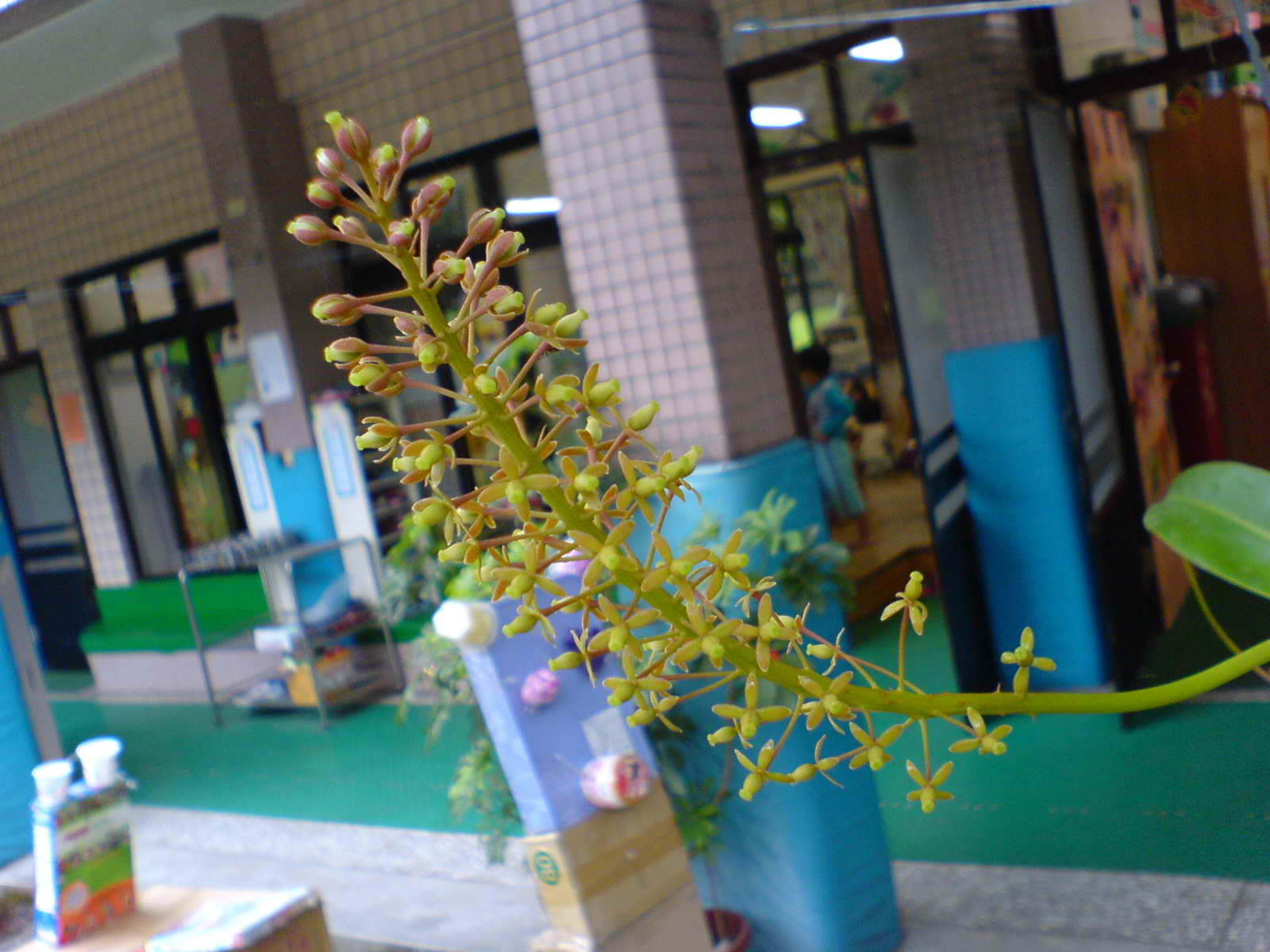 «ö¦¹¦b·sµøµ¡ÂsÄý¹Ï¤ù