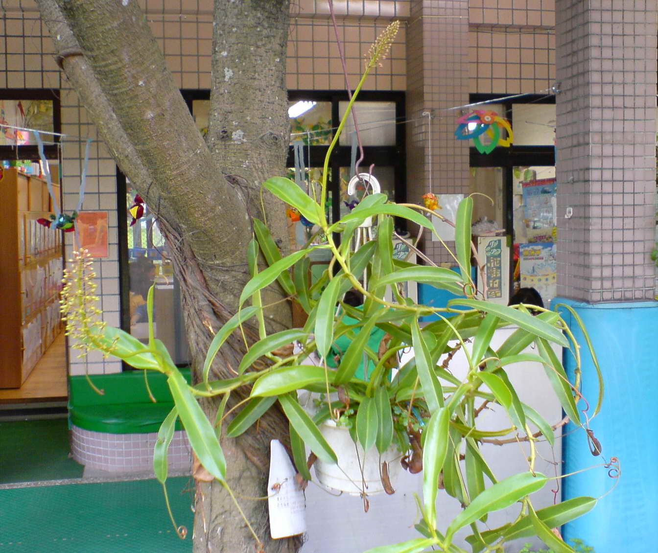 «ö¦¹¦b·sµøµ¡ÂsÄý¹Ï¤ù