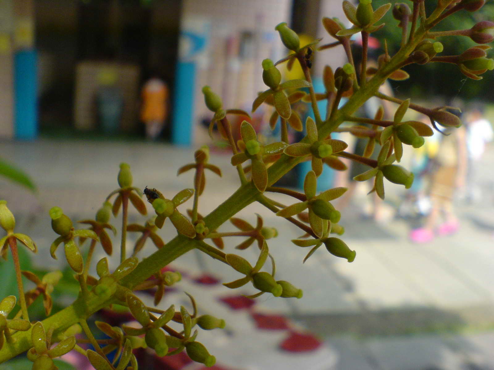 «ö¦¹¦b·sµøµ¡ÂsÄý¹Ï¤ù