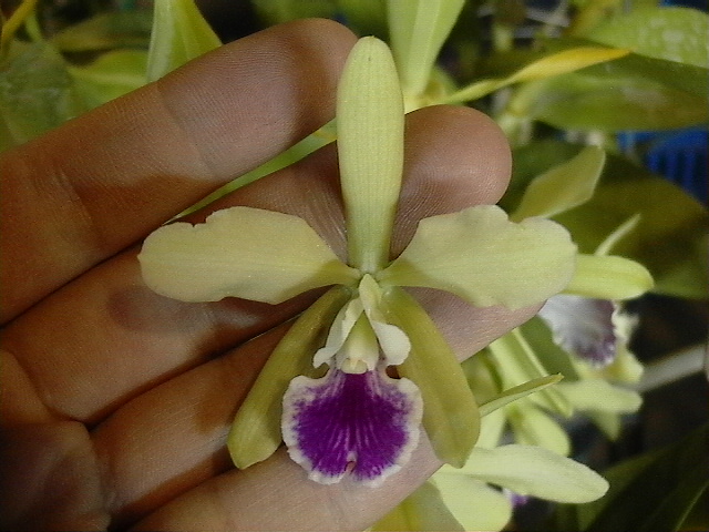 «ö¦¹¦b·sµøµ¡ÂsÄý¹Ï¤ù