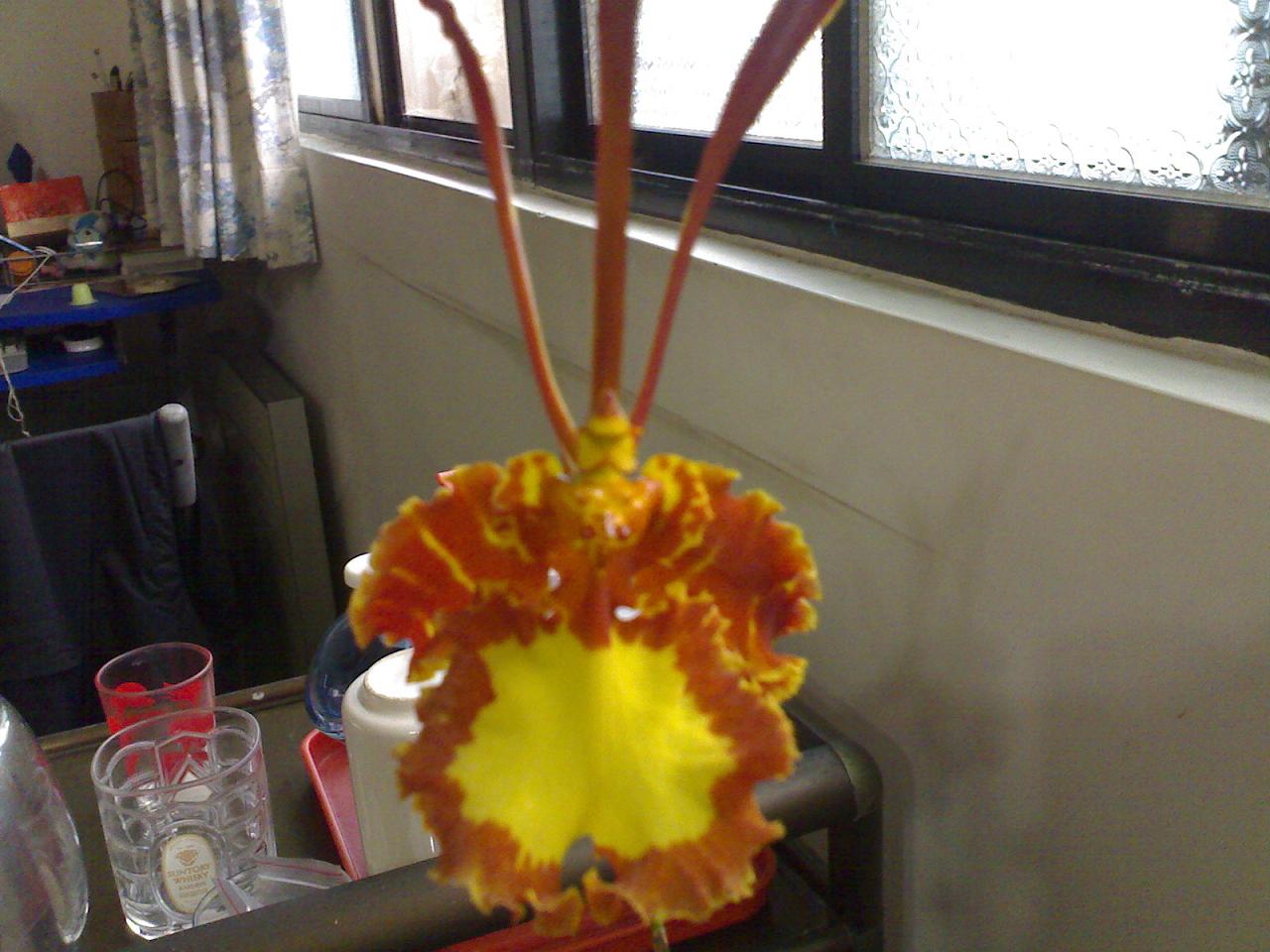 «ö¦¹¦b·sµøµ¡ÂsÄý¹Ï¤ù