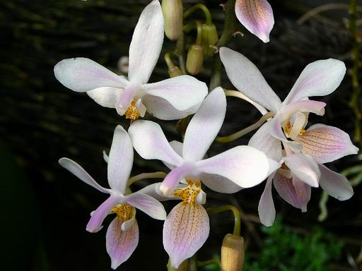 «ö¦¹¦b·sµøµ¡ÂsÄý¹Ï¤ù