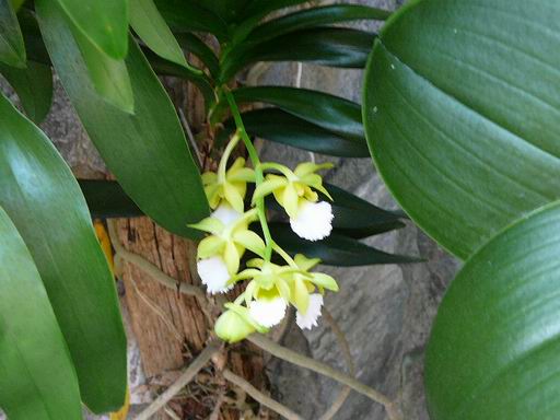 «ö¦¹¦b·sµøµ¡ÂsÄý¹Ï¤ù