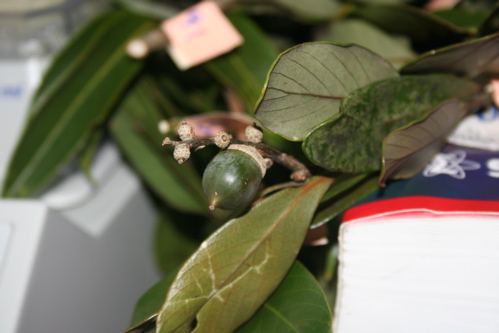 «ö¦¹¦b·sµøµ¡ÂsÄý¹Ï¤ù