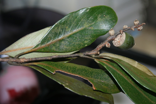 «ö¦¹¦b·sµøµ¡ÂsÄý¹Ï¤ù